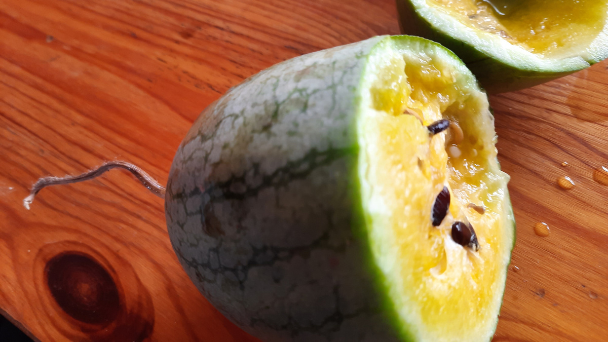 17 сенября 2025 г.