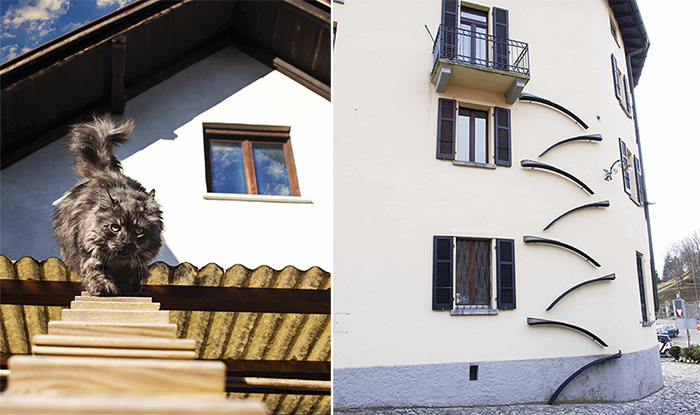 А тут вообще их бин дизайн