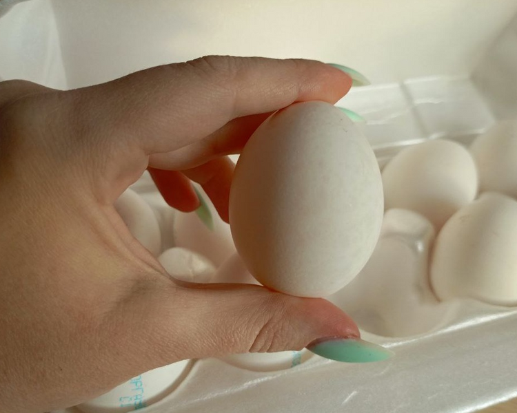     В Курской области наблюдается значительный рост цен на яйца и огурцы