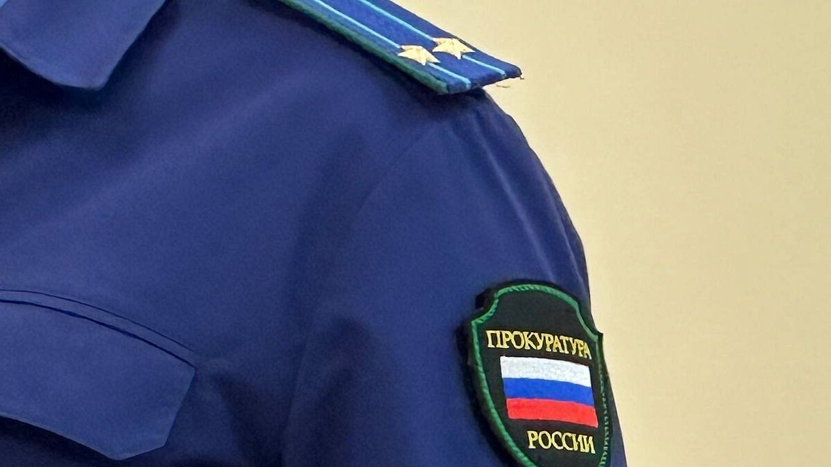    Фото: телеканал «Краснодар»