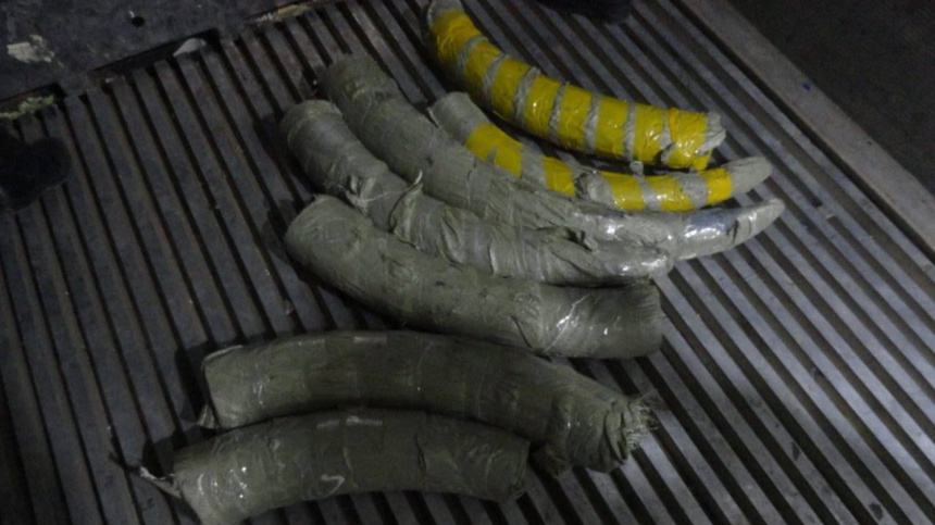    Фото: Telegram/Прокуратура Амурской области/prokuratura28