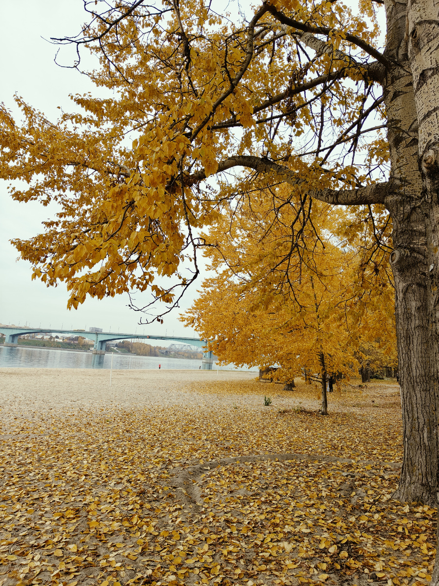 На Тверицкой набережной . Фото автора