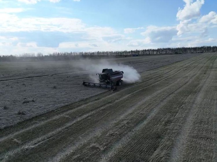    Фото: Минсельхоз Республики Башкортостан