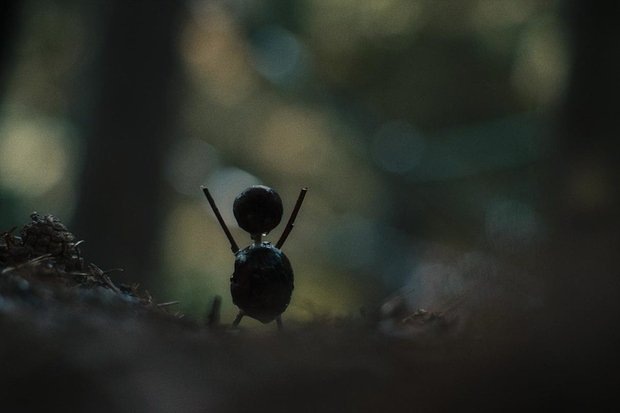    Кадр: сериал «Каштановый человечек»