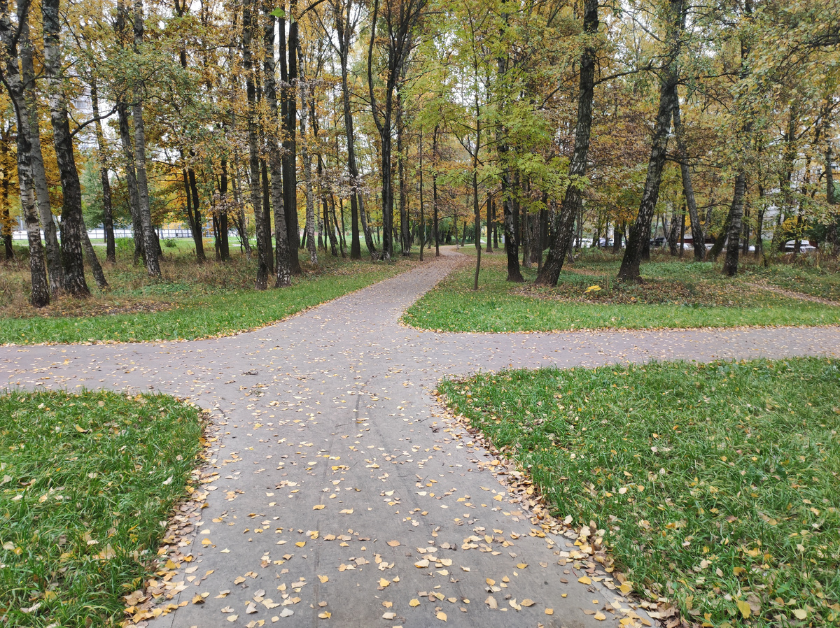 Мой район. У нас очень много сквериков, садов и парков.