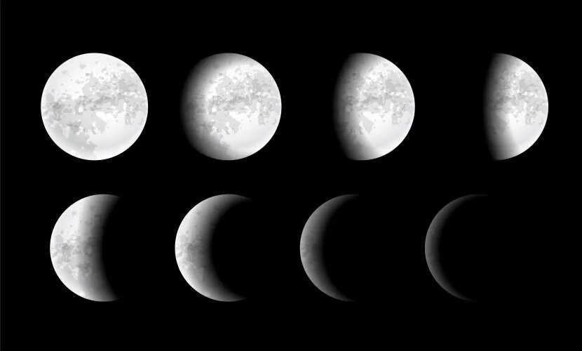 Источник: starline / freepik.com