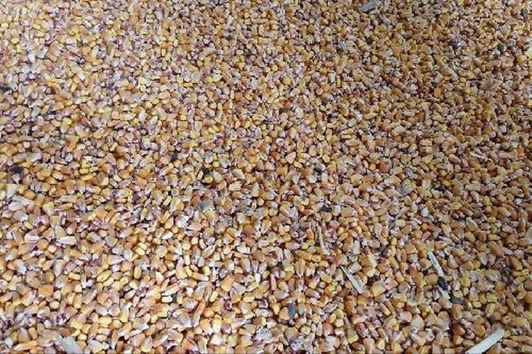    Фото: Комитет сельского хозяйства Волгоградской области