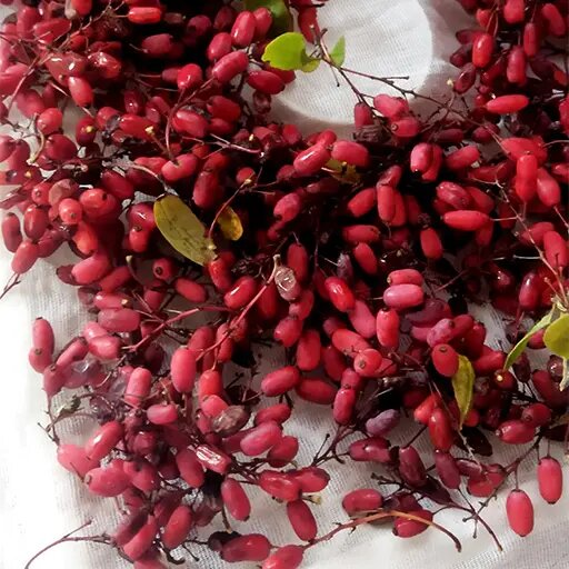   Барбарис — поздняя ягода Наталья Андросенкова