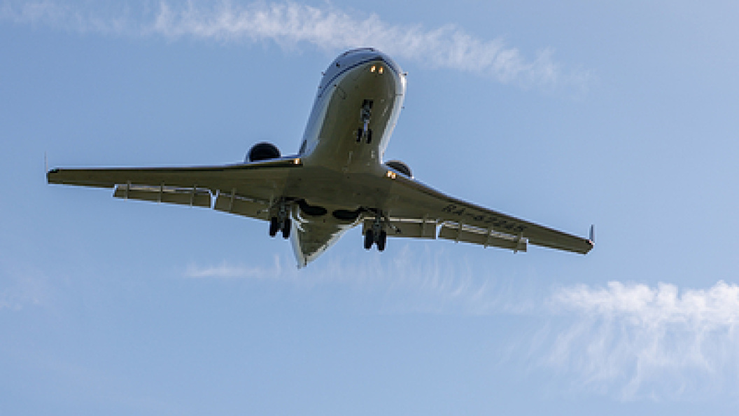    Фото: Shatokhina Natalia/Globallookpress