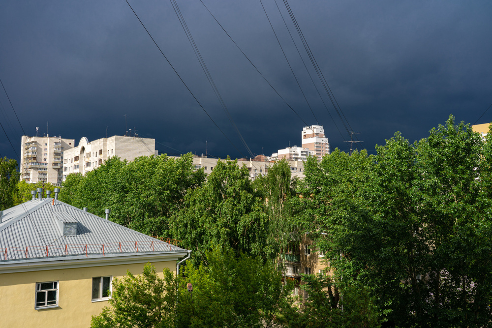 Elena Kabenkina / Shutterstock / FOTODOM📷В период с весны до осени отмечается пик этого явления, обусловленный природными факторами