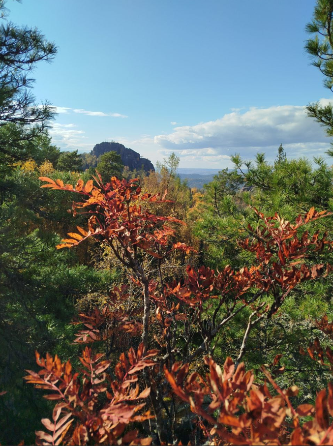 Где-то на Красноярских Столбах. Фото Александра Ф.