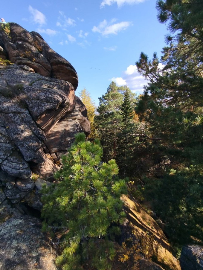 Где-то на Красноярских Столбах. Фото Александра Ф.