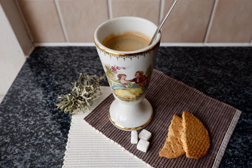 Фото на обложке: Avasilevska / Shutterstock / Fotodom