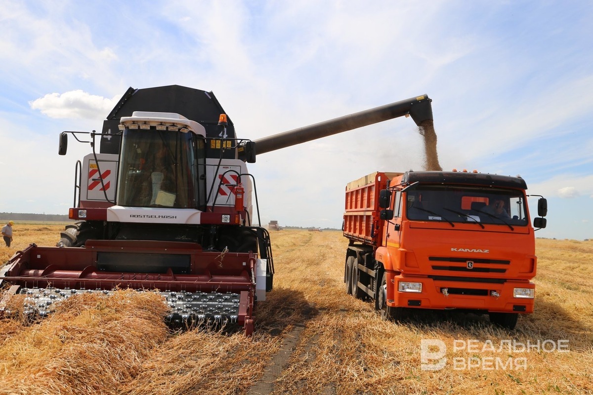   Реальное время / realnoevremya.ru