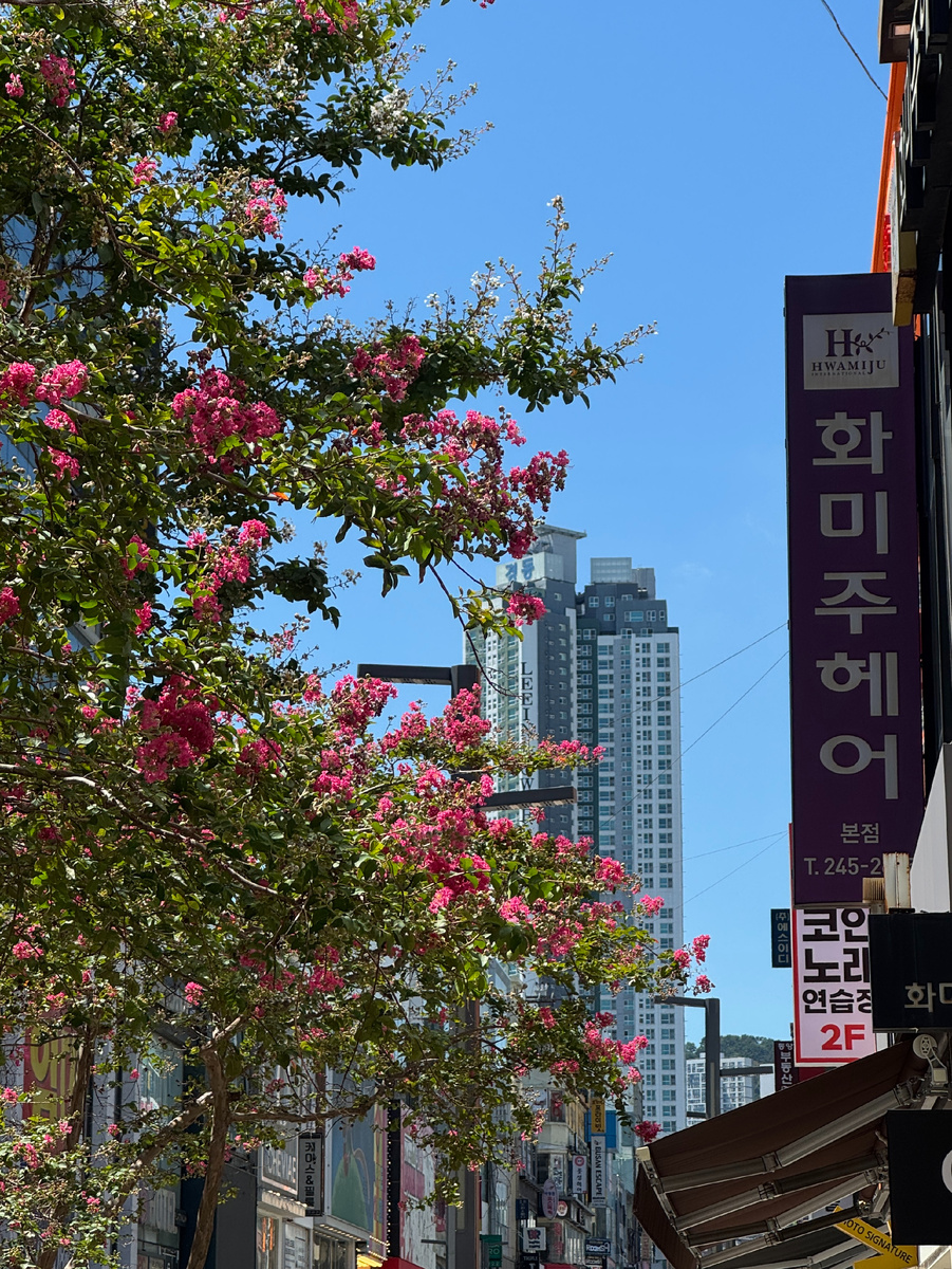 немного красивого Пусана!