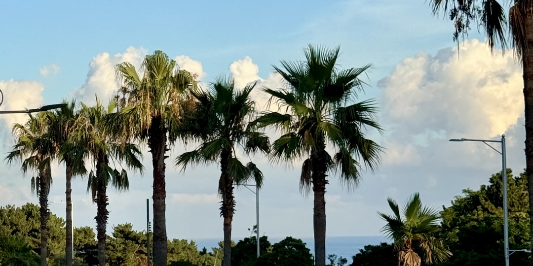 остров Чеджу — открытие 2025, куда стоит вернуться 🌴