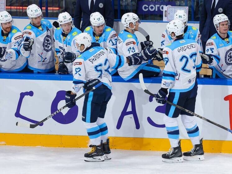     Фото: телеграм-канал "ХК Сибирь"