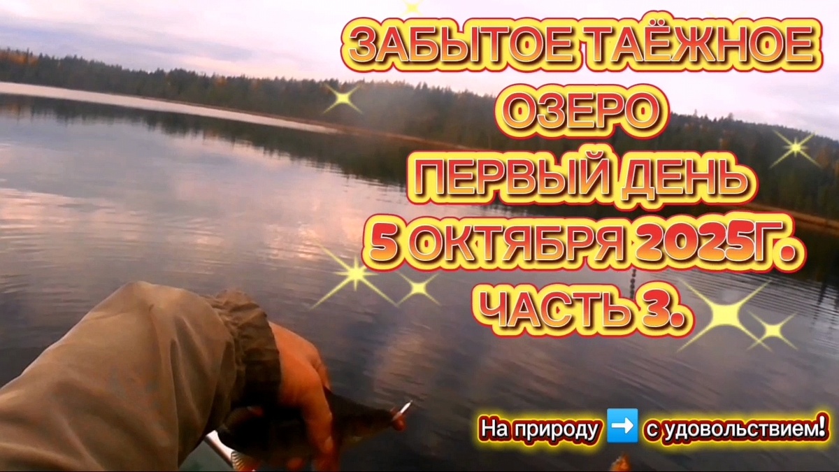 ПЕРВЫЙ ДЕНЬ . ЧАСТЬ 3. СМОТРИМ 👇