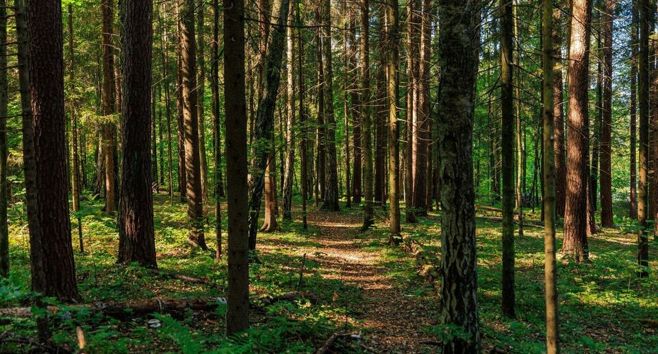    Медиасток.РФ