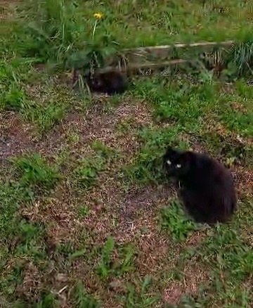 Мама с одним из малышей 