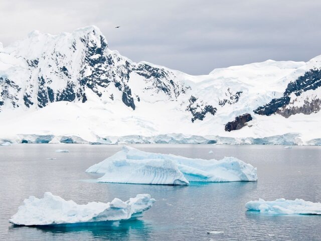    Фото: 123RF/adfoto