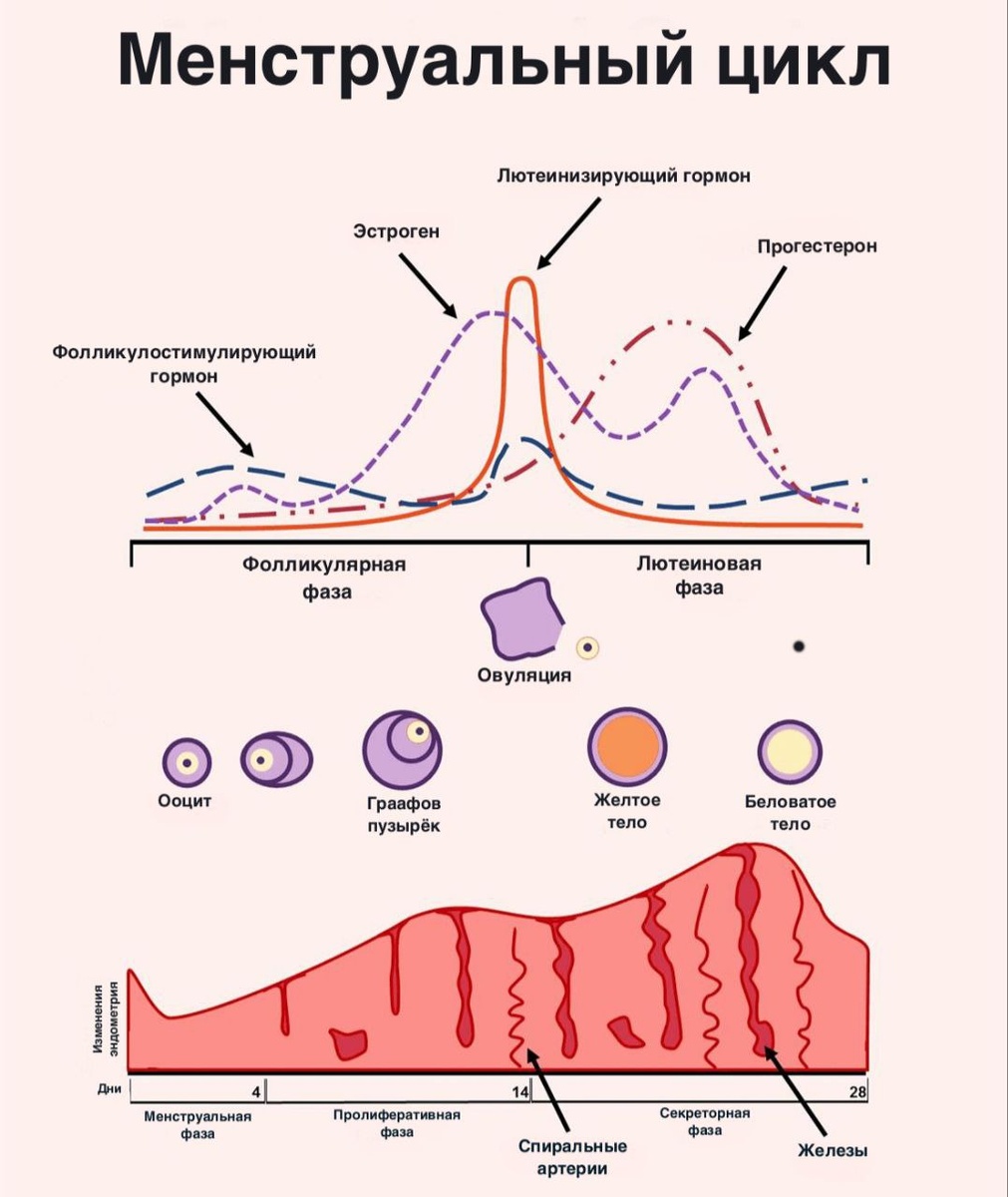 Клиника Николая Доценко