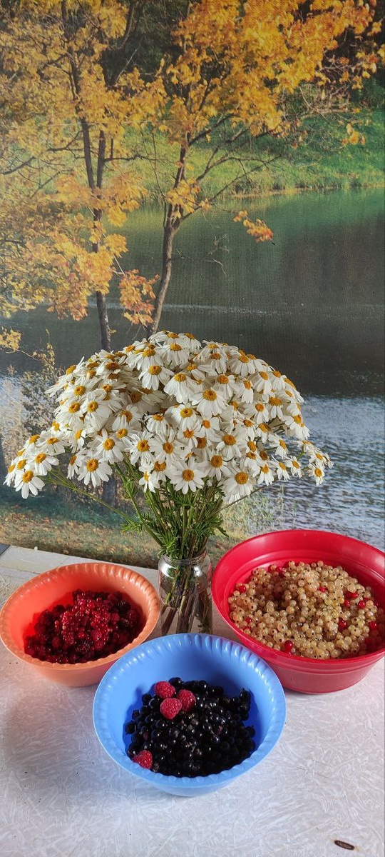 Щедрый июль. Фото автора