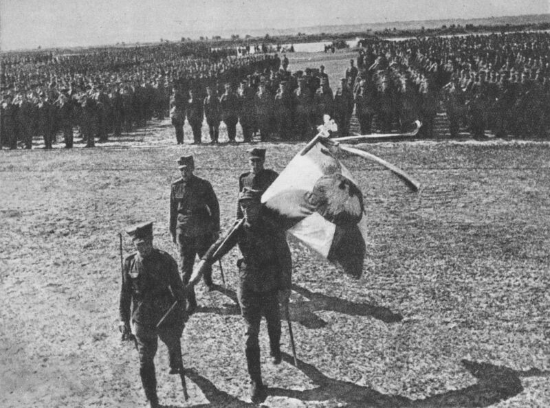 Части 1-й пехотной дивизии (1 Polska Dywizja Piechoty) 1-й армии Войска Польского во время принятия присяги.