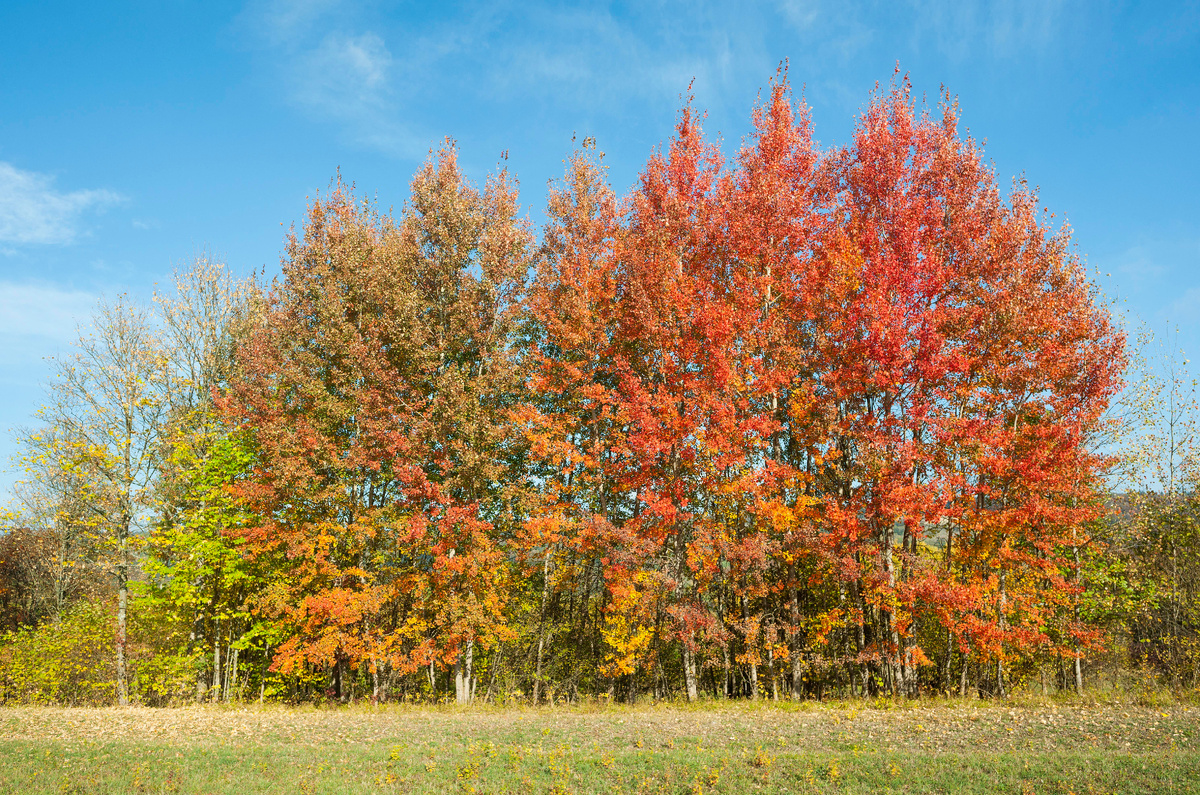 фото:Frank Sommariva/http://imagebroker.com/#/search/Global Look Press