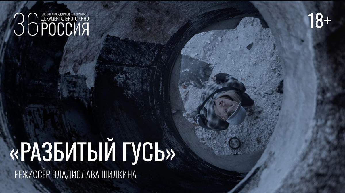 Фотоматериал с офицальной группы фестиваля Вконтакте 