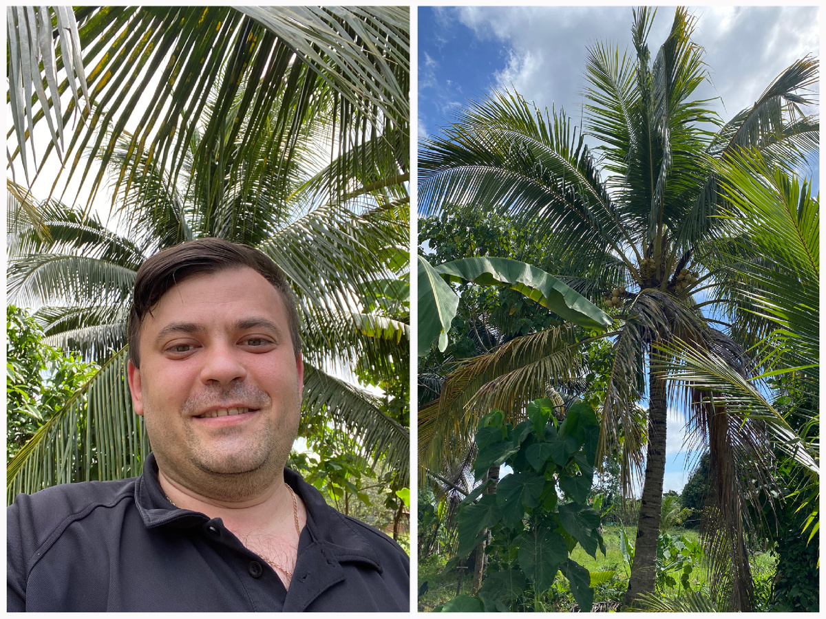 Фото под пальмой.