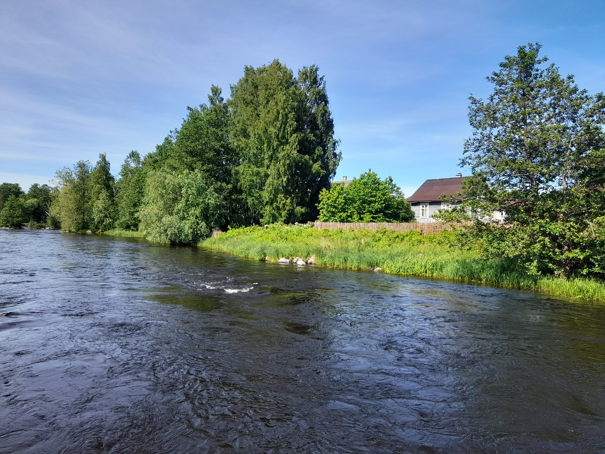Ленинградская область. ФОТО АВТОРА 