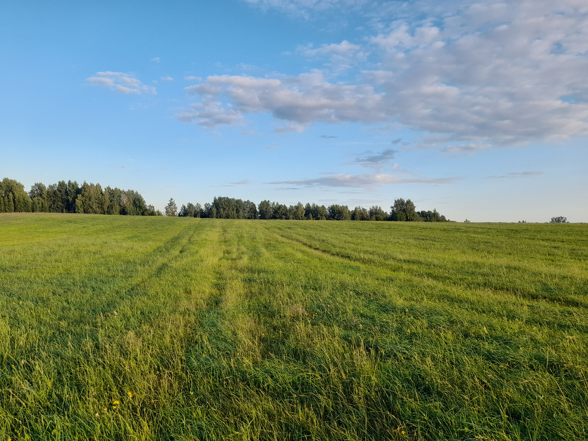 Ленинградская область. ФОТО АВТОРА