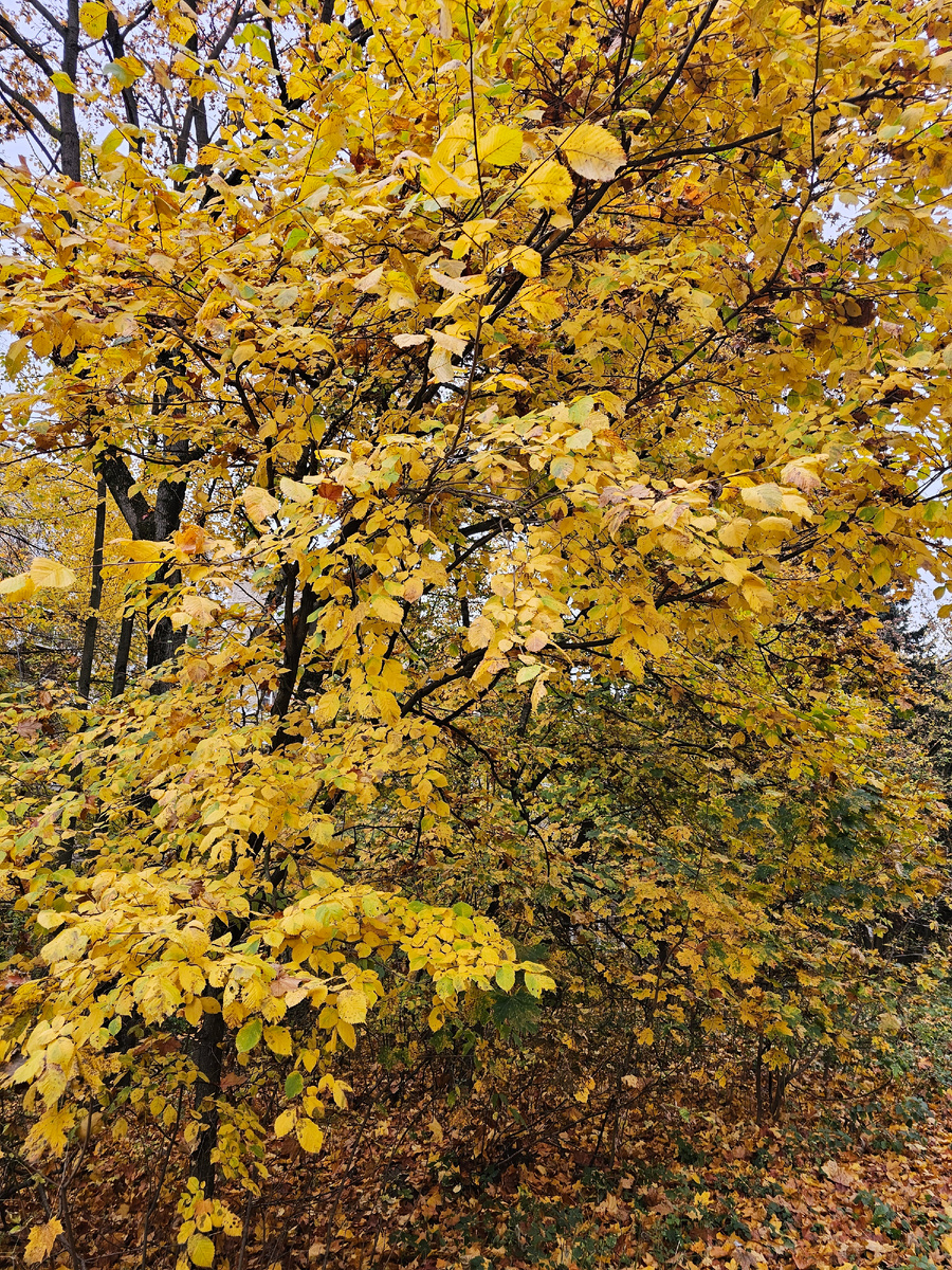 Автор фото Л.Баева