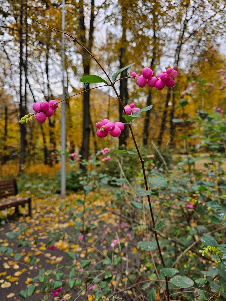 Автор фото Л.Баева