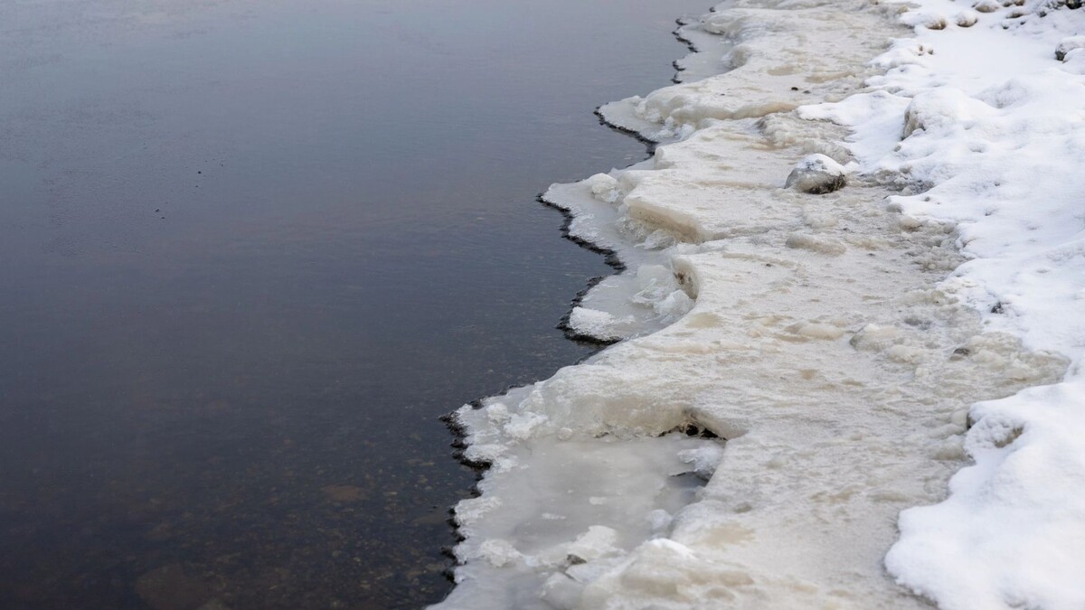    Фото: Федор Воронов / «Ямал-Медиа»