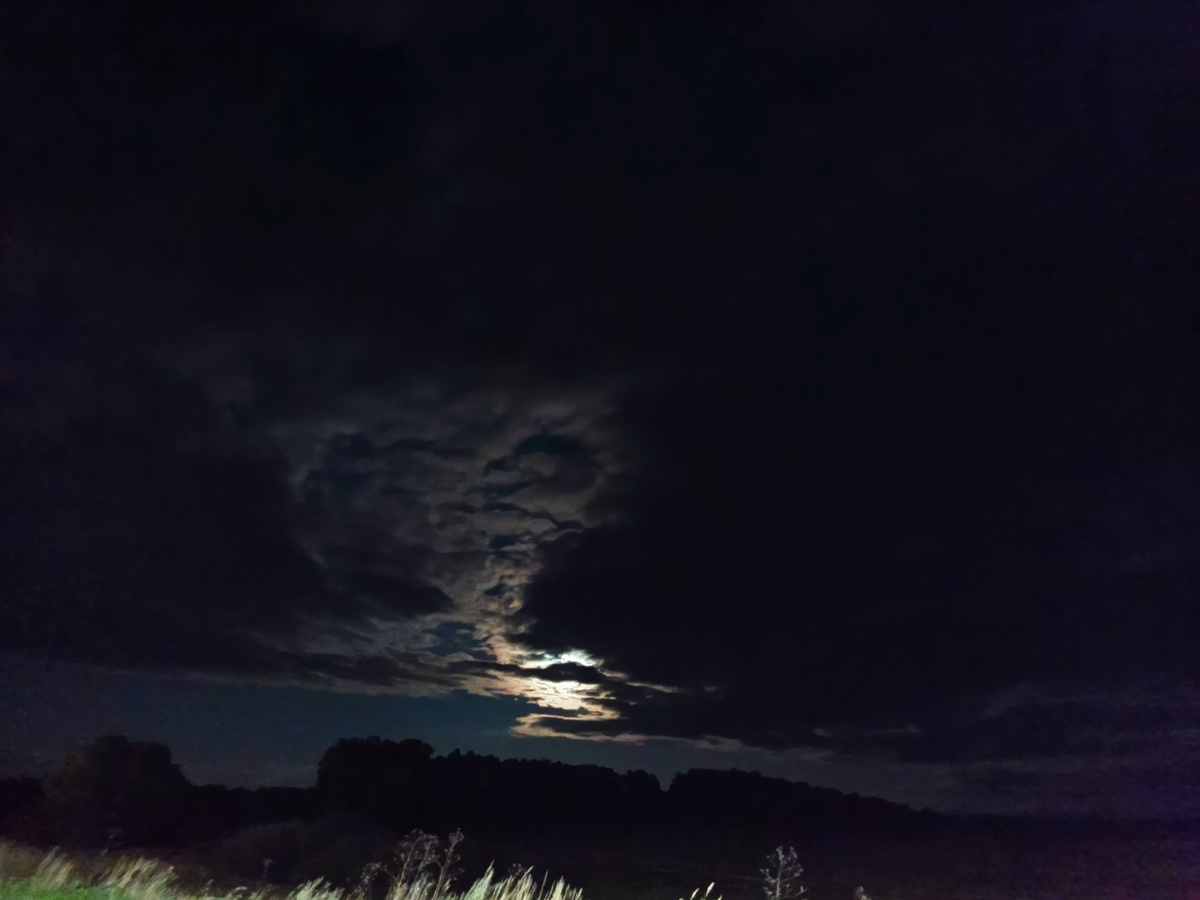 Фото из архива автора 