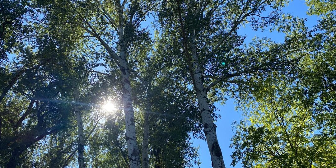 Развод в пожилом возрасте: удивительные уроки