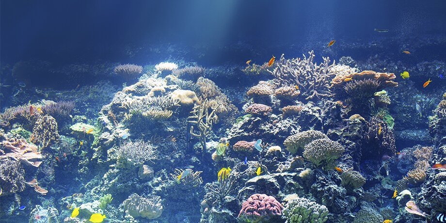    Фото: depositphotos/Andrey_Kuzmin