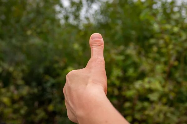    Milos Ruzicka via Getty