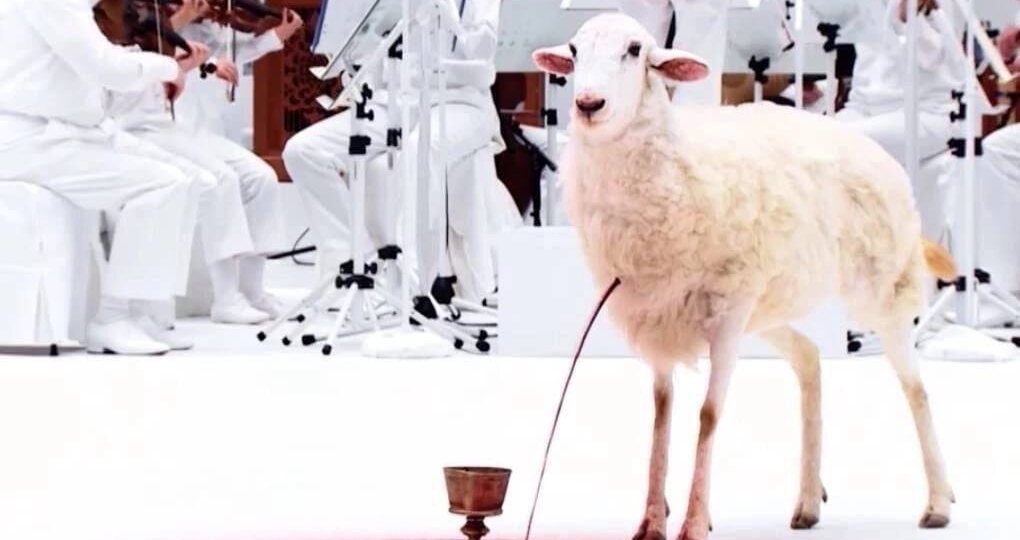 Как понять современный перформанс? 5 шагов, чтобы современное искусство перестало казаться вам бредом