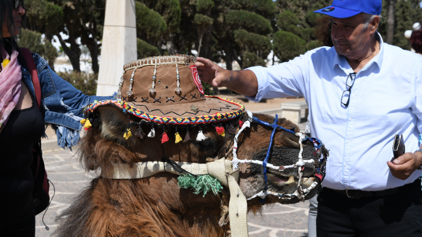    Фото: © РИА Новости/Наталья Селиверстова