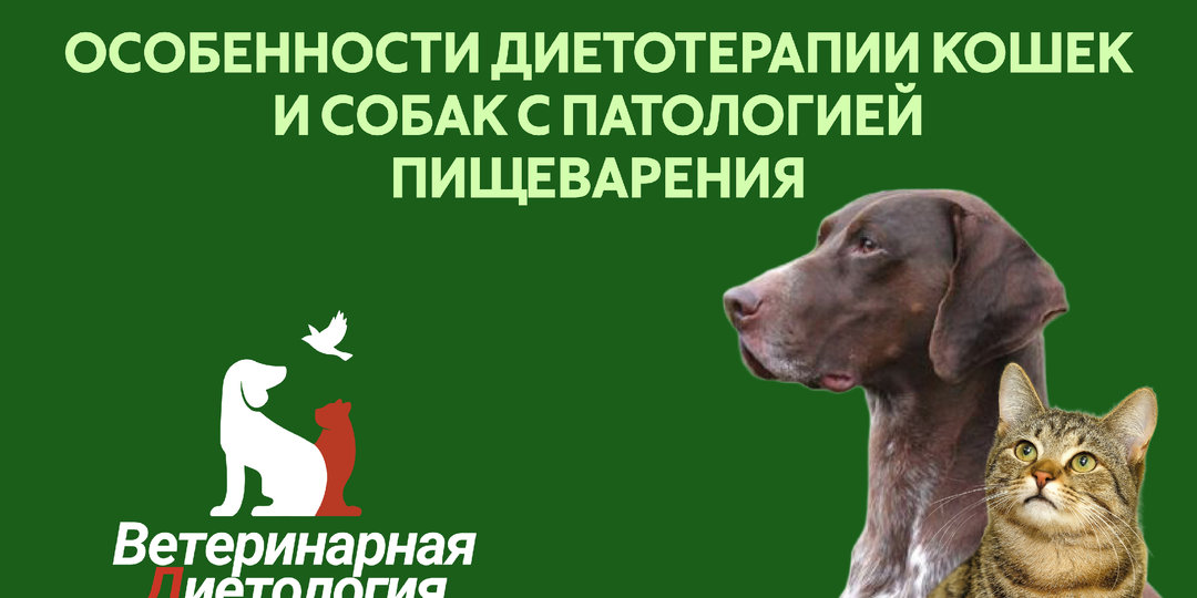 ОСОБЕННОСТИ ДИЕТОТЕРАПИИ КОШЕК И СОБАК С ПАТОЛОГИЕЙ ПИЩЕВАРЕНИЯ