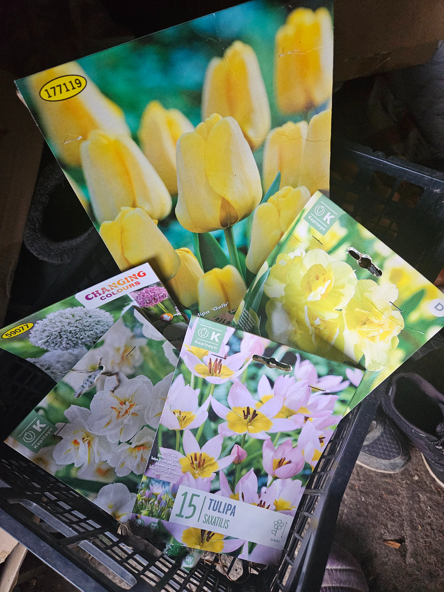 Готовы к посадке