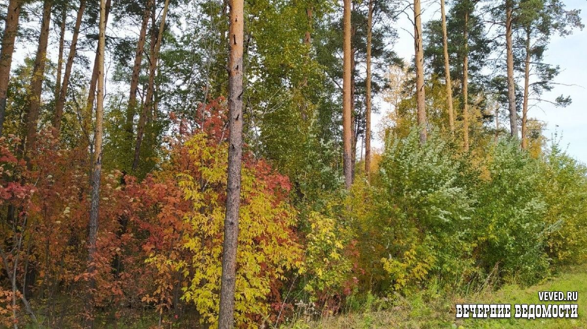     Фото: Юлия Кольтенберг / Вечерние ведомости