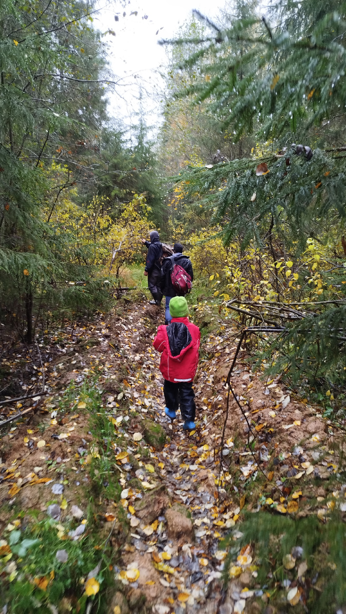 Тропа от станции к деревне