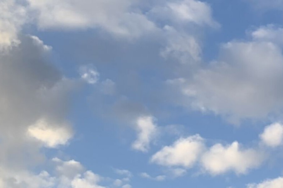    Фото: Региональные новости, источник: newstula.ru