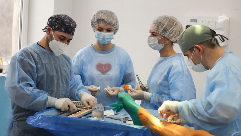      Фото: Дмитрий Ахмадуллин / / ИА «Победа26»