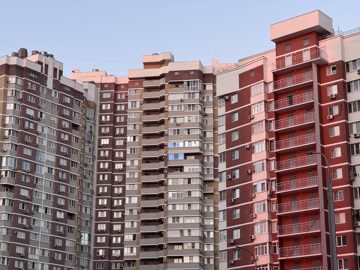    Фото: Екатерина Мухамедова/BFM Кубань