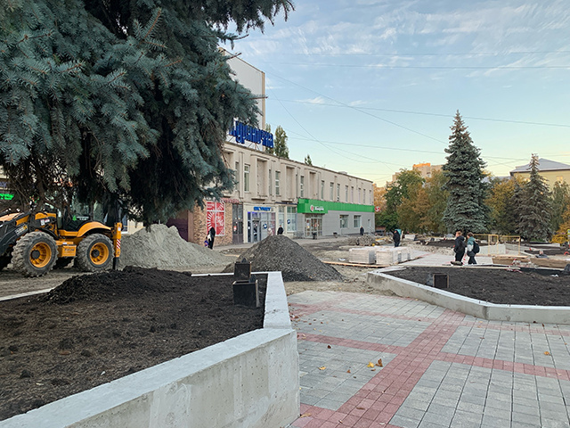    31 дерево и 230 кустарников появятся перед ТЦ «Куряночка»